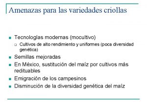 Amenazas para las variedades criollas n Tecnologas modernas