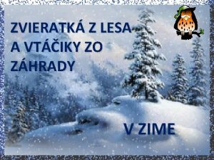 ZVIERATK Z LESA A VTIKY ZO ZHRADY V