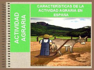 ACTIVIDAD AGRARIA CARACTERSTICAS DE LA ACTIVIDAD AGRARIA EN