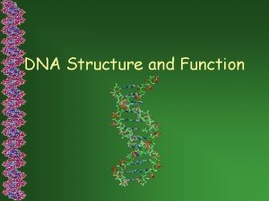 DNA Structure and Function What is DNA and