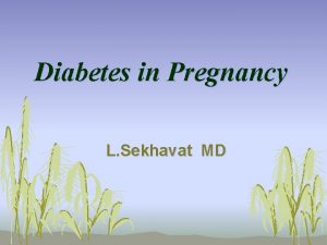 Diabetes in Pregnancy L Sekhavat MD Diabetes in