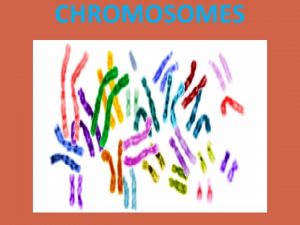 CHROMOSOMES Chromosomes are filamentous thread like bodies typically