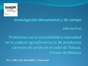 Investigacin documental y de campo Informe final Problemas