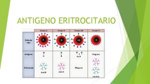 ANTIGENO ERITROCITARIO LOS GLOBULOS ROJOS HUMANOS PORTAN EN