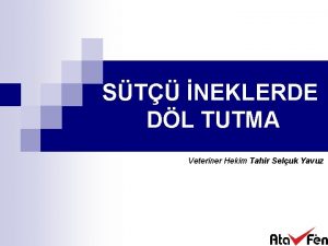 ST NEKLERDE DL TUTMA Veteriner Hekim Tahir Seluk