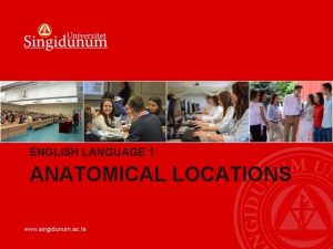 ENGLISH LANGUAGE 1 ANATOMICAL LOCATIONS ANATOMICAL LOCATIONS Why