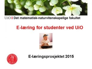 Elring for studenter ved Ui O Elringsprosjektet 2015