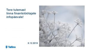 Tere tulemast linna finantsttajate infopevale 6 12 2019