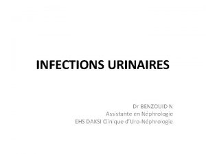 INFECTIONS URINAIRES Dr BENZOUID N Assistante en Nphrologie