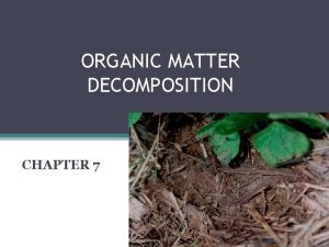 ORGANIC MATTER DECOMPOSITION CHAPTER 7 SOIL There are