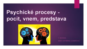 Psychick procesy pocit vnem predstava 7 RONK MGR