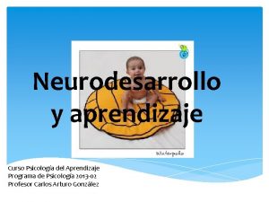 Neurodesarrollo y aprendizaje Curso Psicologa del Aprendizaje Programa