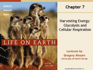 Chapter 7 Harvesting Energy Glycolysis and Cellular Respiration