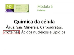 Qumica da clula gua Sais Minerais Carboidratos Protenas