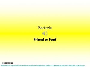 Bacteria Friend or Foe superbugs https www bing