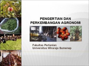 PENGERTIAN DAN PERKEMBANGAN AGRONOMI Fakultas Pertanian Universitas Wiraraja