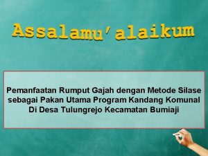 Pemanfaatan Rumput Gajah dengan Metode Silase sebagai Pakan