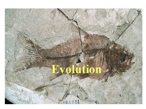 Evolution 1800s The Evolution of Evolution Fossil discovery