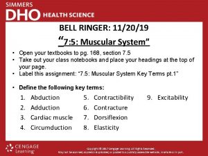 BELL RINGER 112019 7 5 Muscular System Open