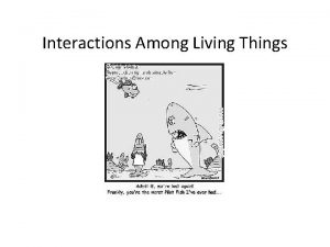 Interactions Among Living Things Adaptations and Niches Every