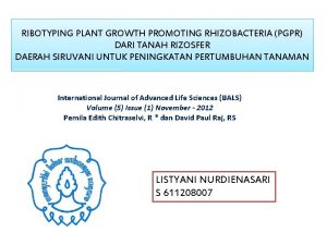 RIBOTYPING PLANT GROWTH PROMOTING RHIZOBACTERIA PGPR DARI TANAH