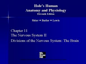 Holes Human Anatomy and Physiology Eleventh Edition Shier