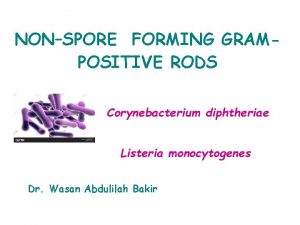 NONSPORE FORMING GRAMPOSITIVE RODS Corynebacterium diphtheriae Listeria monocytogenes