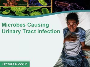 Microbes Causing Urinary Tract Infection LECTURE BLOCK 15
