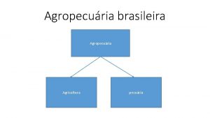 Agropecuria brasileira Agropecuria Agricultura pecuria commodities Commodities ou