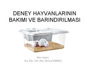 DENEY HAYVANLARININ BAKIMI VE BARINDIRILMASI Hazrlayan Ar Gr