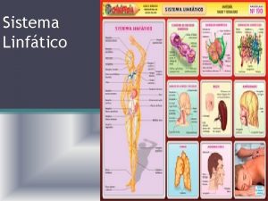 Sistema Linftico Es el encargado de drenar el