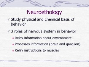 Neuroethology Study physical and chemical basis of behavior