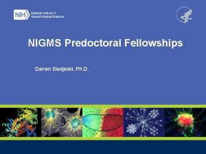 NIGMS Predoctoral Fellowships Darren Sledjeski Ph D Goal