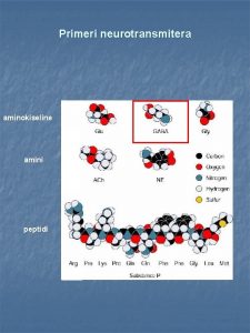 Primeri neurotransmitera aminokiseline amini peptidi Sinteza GABAe COOH