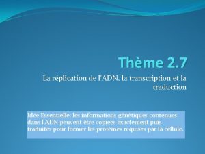 Thme 2 7 La rplication de lADN la