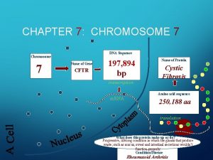 CHAPTER 7 CHROMOSOME 7 DNA Sequence Chromosome 7