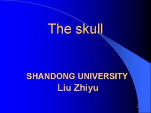 The skull SHANDONG UNIVERSITY Liu Zhiyu 1 Skullcranium