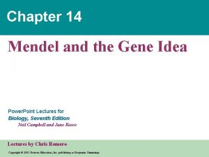 Chapter 14 Mendel and the Gene Idea Power