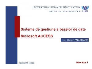 start laborator 5 Exemple de interogri Access Se