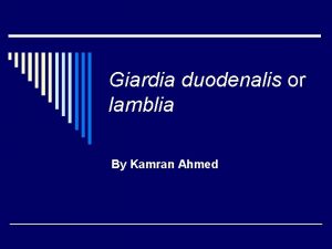 Giardia duodenalis or lamblia By Kamran Ahmed Introduction