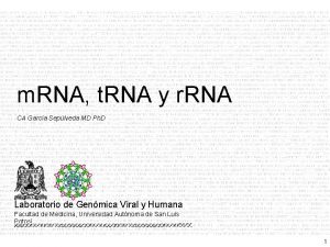 m RNA t RNA y r RNA CA