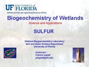 Institute of Food and Agricultural Sciences IFAS Biogeochemistry