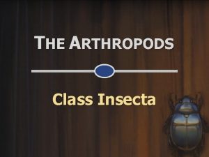 THE ARTHROPODS Class Insecta CHARACTERISTICS of Class Insecta