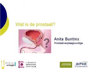 Wat is de prostaat Anita Buntinx Prostaatverpleegkundige Wat