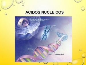 ACIDOS NUCLEICOS LA EXISTENCIA DEL MATERIAL HEREDITARIO DESDE