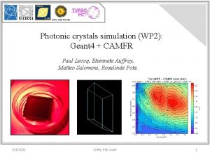 Photonic crystals simulation WP 2 Geant 4 CAMFR