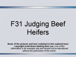 F 31 Judging Beef Heifers Some of the