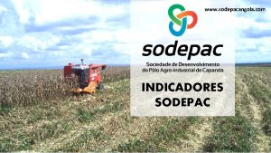 www sodepacangola com INDICADORES SODEPAC Gesto de Terrenos