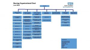 Nursing Organisational Chart June 2018 Chief Nurse Director