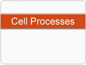 Cell Processes Cell Transport Cell Transport Definition The